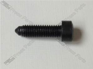 Locking Screw straight